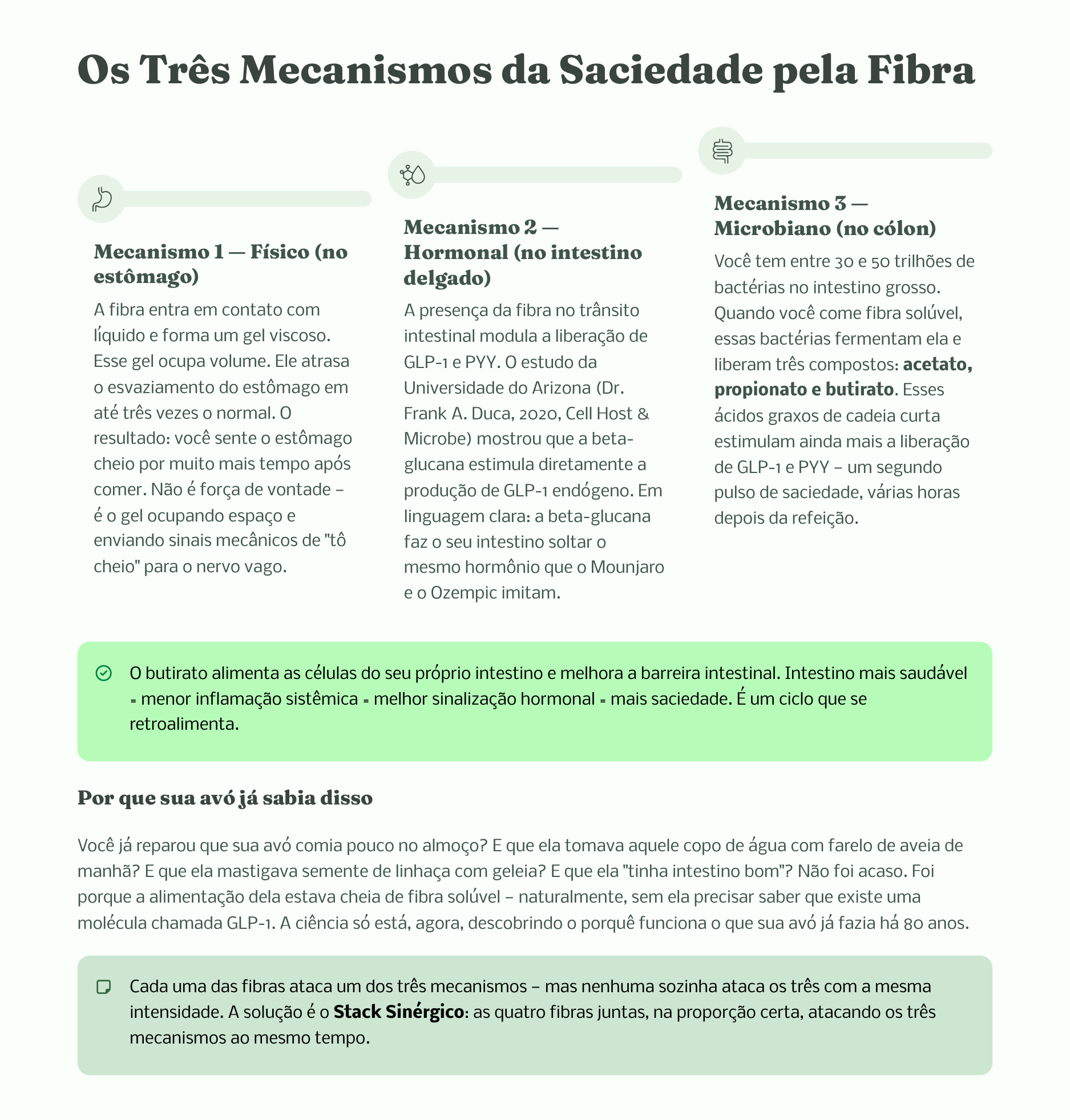 Prévia da página dos mecanismos da saciedade