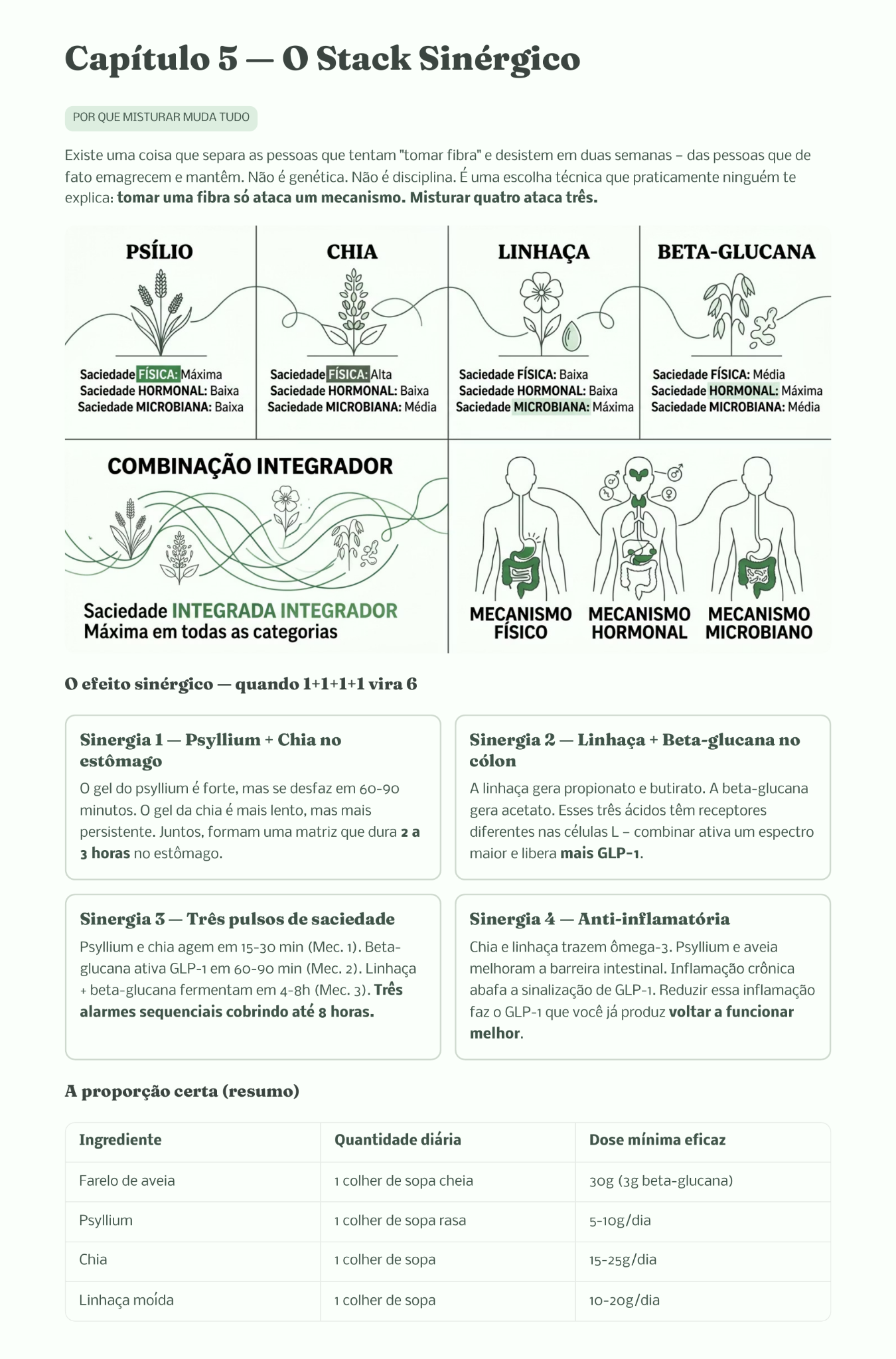 Prévia da página sobre o stack sinérgico